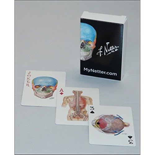 Netter Playing Cards: Netter'S Anatomy Art Card Deck