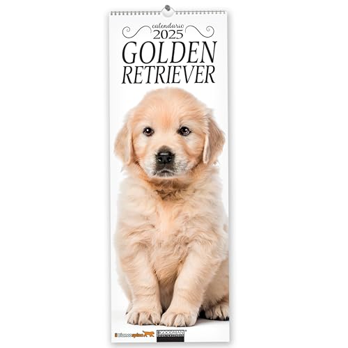 Golden Retriever. Calendario 2025. Long