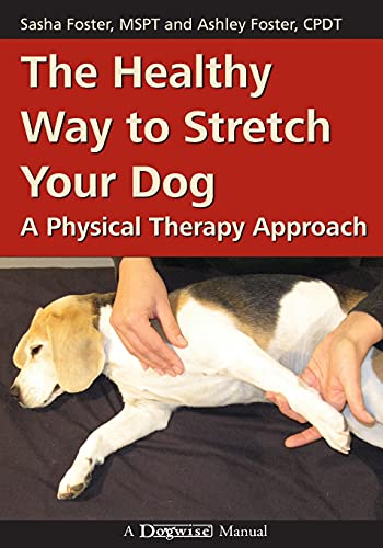 The Healthy Way To Stretch Your Dog: A Physical Therapy Approach