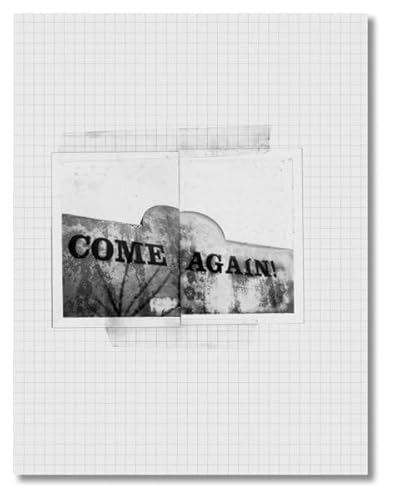 Robert Frank: Come Again