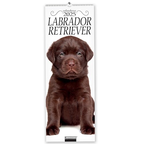 Labrador Retriever. Calendario 2025. Long