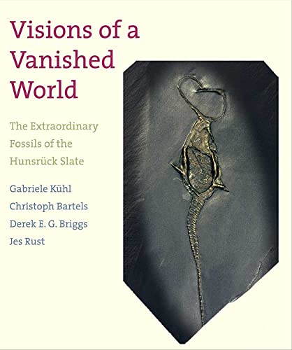 Visions Of A Vanished World: The Extraordinary Fossils Of The Hunsruck Slate: The Extraordinary Fossils Of The Hunsrck Slate