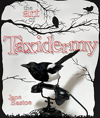The Art Of Taxidermy