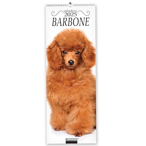 Barbone. Calendario 2025. Long