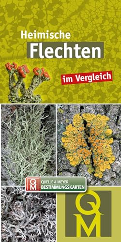 Heimische Flechten: Im Vergleich