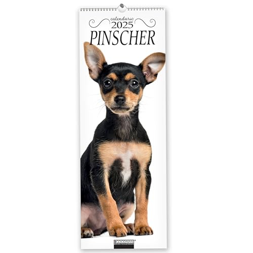 Pinscher. Calendario 2025. Long