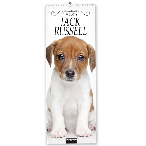 Jack Russel. Calendario 2025. Long
