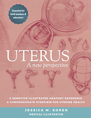 Uterus: A New Perspective