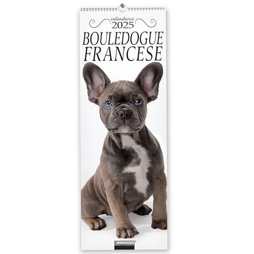 Bouledogue Francese. Calendario 2025. Long