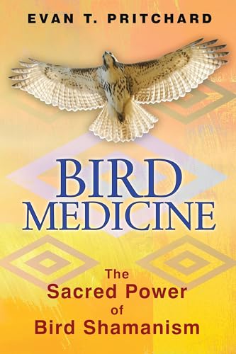 Bird Medicine: The Sacred Power Of Bird Shamanism
