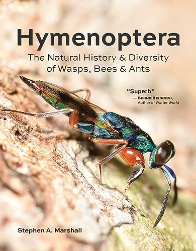 Hymenoptera: The Natural History And Diversity Of Wasps, Bees And Ants
