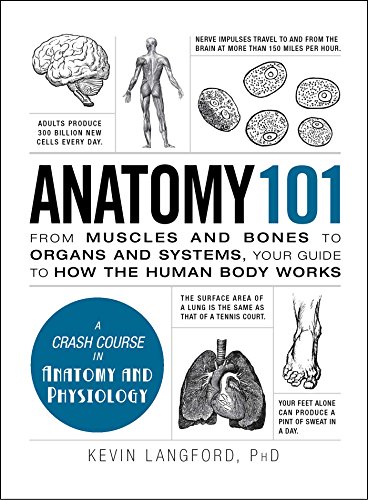Anatomy 101: From Muscles And Bones To Organs And Systems, Your Guide To How The Human Body Works