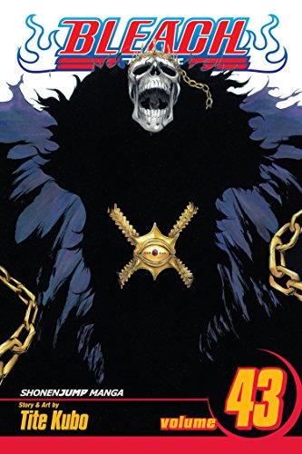 Viz Bleach Vol. 43 Paperback Manga: Kingdom Of Hollows
