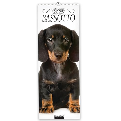 Bassotto. Calendario 2025. Long