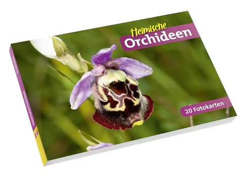 Heimische Orchideen: 20 Fotokarten