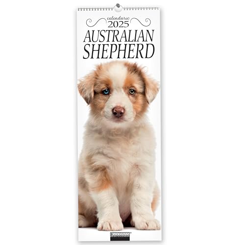 Australian Shepherd. Calendario 2025. Long