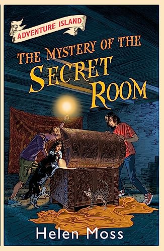 The Mystery Of The Secret Room: Book 13