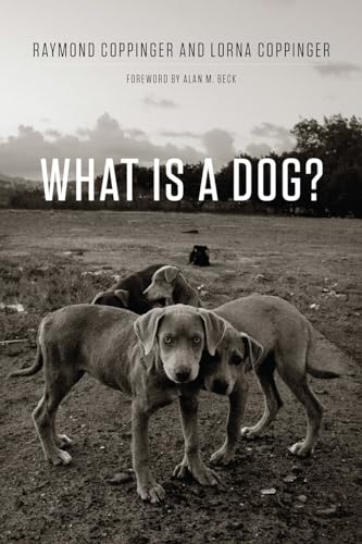 What Is A Dog?