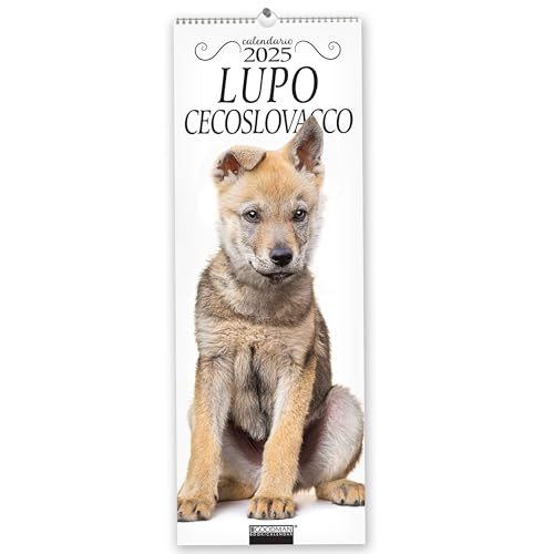 Cane Lupo Cecoslovacco. Calendario 2025. Long