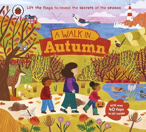 A Walk In Autumn: Lift The Flaps To Reveal The Secrets Of The Season