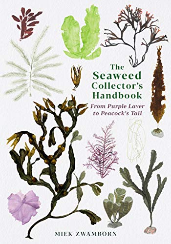 The Seaweed Collector'S Handbook: From Purple Laver To Peacock'S Tail