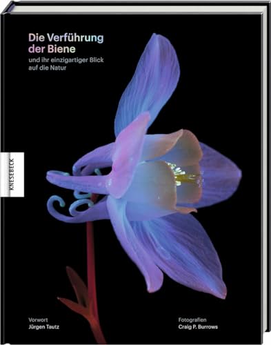 Die Verführung Der Biene: Und Ihr Einzigartiger Blick Auf Die Natur