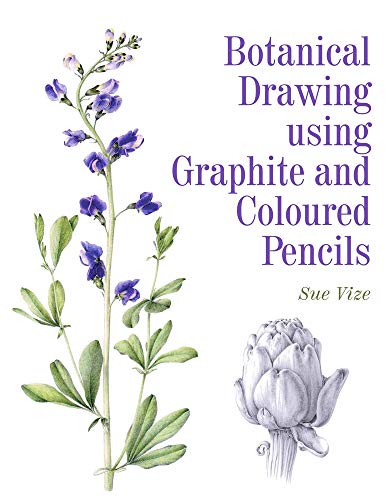 Botanical Drawing Using Graphite And Coloured Pencils