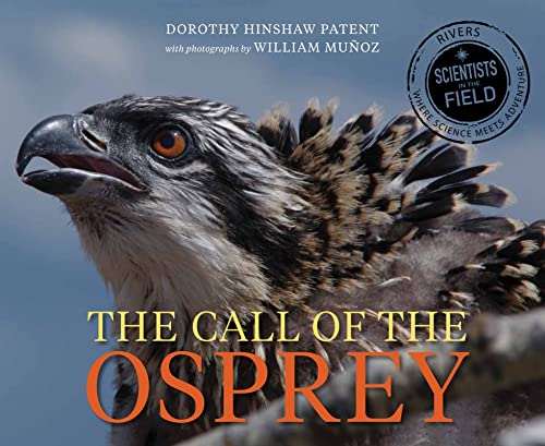 The Call Of The Osprey