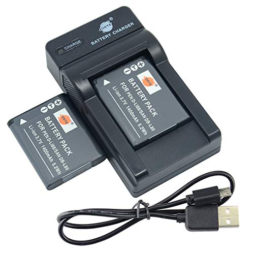 Dste 2Pcs D-Li88 Batteria Per Fotocamera E Caricatore Compatibile Con Dmx-Cg10 Dmx-Cg100 Dmx-Cg11 Dmx-Cg110 Dmx-Cg11D Dmx-Cg11G Dmx-Cg11W Dmx-Cs1 Dmx-