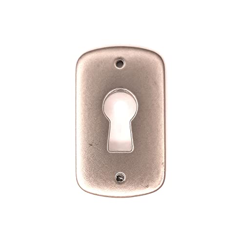 Cyclingcolors Bocchetta Rosette Chiave Per Mobili In Zama Finitura Nichel Armadi Mobili 24 X 40 Mm