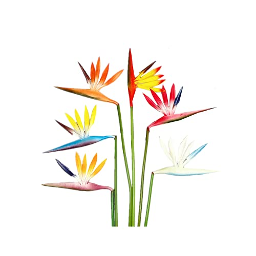 Rikyo Fiori Artificiali In 6 Colori, 6 Pezzi, Uccelli Del Paradiso, Fiori Permanenti Da 58,4 Cm, Bouquet Di Fiori Artificiali Tropicali Per Ufficio, C