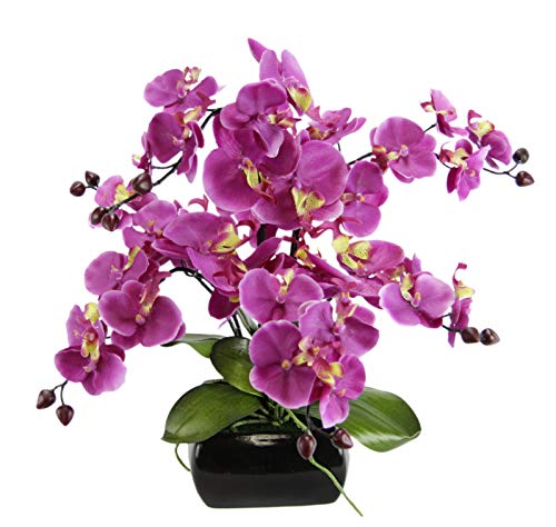 Flair Flower Orchidea Finta, Fiore Finto Di Seta, Con Foglie, Boccioli E Radici Aeree, In Vaso Di Ceramica, Phalaenopsis, Decorazione Per Matrimonio,