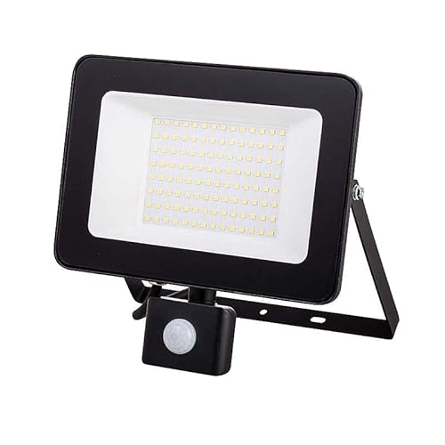 Bion Electrics Proiettore 100W, Faro A Led Con Sensore Di Movimento, 4000K Luce Naturale, 21X21,9X5 Cm