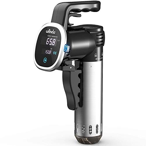 Sous Vide, Wancle Roner Cucina A Bassa Temperatura 850W Sous Vide Cooker, Nero