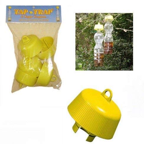 Tap-Trap® - Il Tappo Trappola - La Vera Esca Ecologica - Confezione Da 5 Pcs - Trappola Per Insetti, Mosche, Zanzare, Vespe E Calabroni