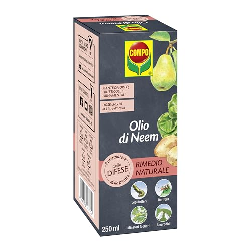 Compo Olio Di Neem Concentrato, Potenziatore Delle Difese Delle Piante Nei Confronti Di Insetti, Afidi, Dorifora E Lepidotteri, 100% Naturale, 250 Ml