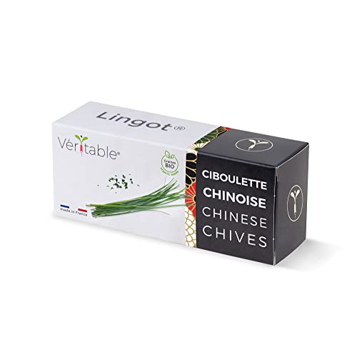 Lingot® Erba Cipollina Cinese Bio - Compatibile Con Orti Interni Véritable® Ed Exky® - Ricarica Pronta All'Uso - Substrato Con Semi Integrati