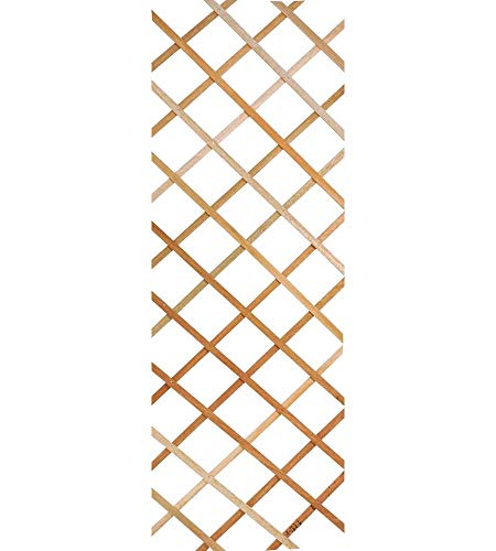 Verdemax 7581 - Grigliati Rampicanti Per Le Piante, 1.8 X 0.6 M