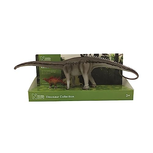 Diplodocus Kentrosau Natural History Museum 1/40