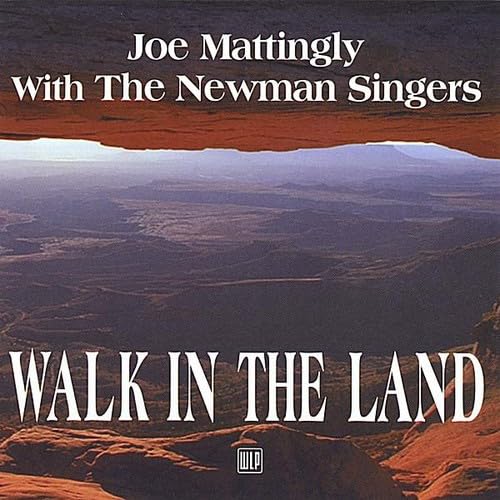 Walk In The Land
