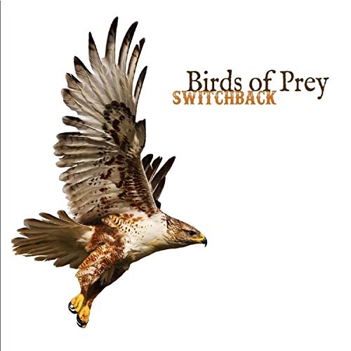 Birds Of Prey