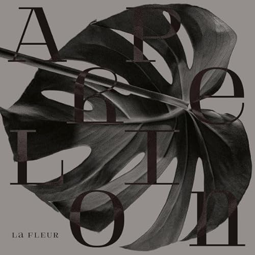 Aphelion (Ep)