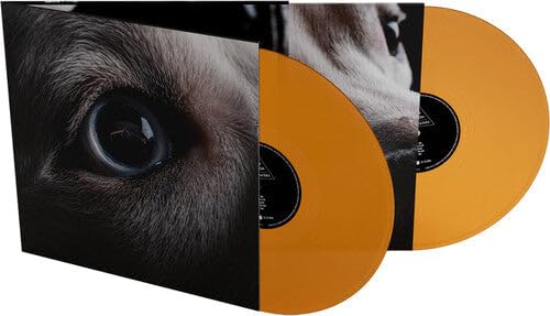 The Dark Side Of The Moon Redux - Limited Orange Vinyl