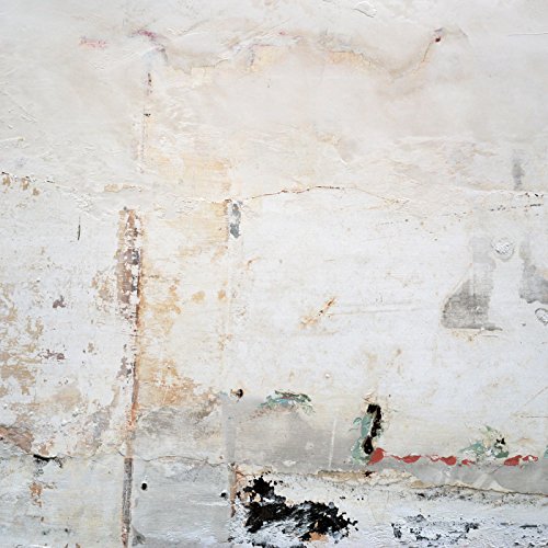 The Mansion Brett Naucke Lp