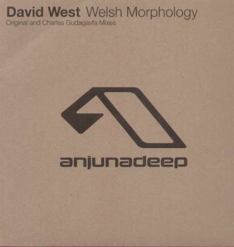 Welsh Morphology