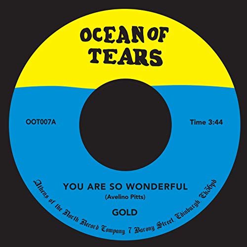 You Are So Wonderful [7" Vinyl] [Import]