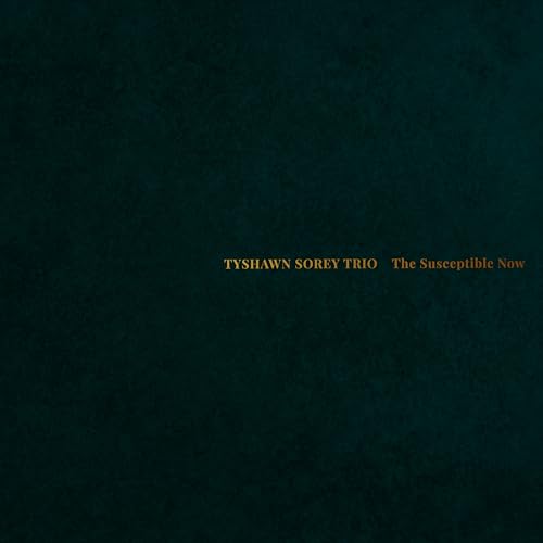 The Susceptible Now