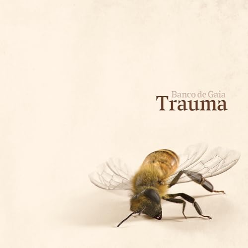 Banco De Gaia-Trauma Lp