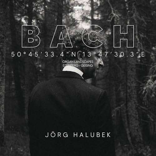 Bach:Organ Landscapes Viii (Steinberg,Geising)