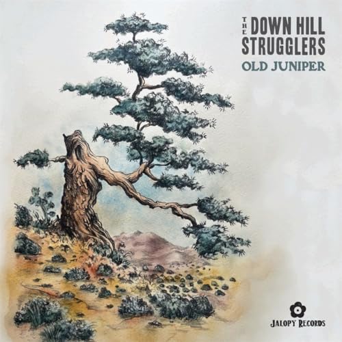 Old Juniper